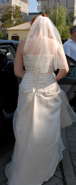 Suknia ślubna - Aspera Bride -light Gold Kolekcja 2010 4
